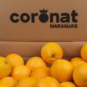 Variedad Navelina de zumo