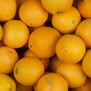 Variedad Navelina de mesa