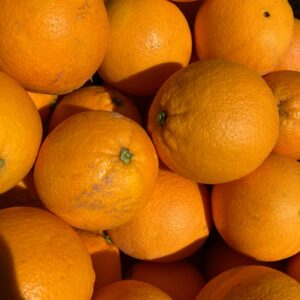 Variedad Navel Lane Late de mesa